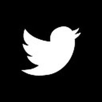 White Twitter Bird Logo - Twitter Icons | Free Download