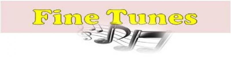 Fine-Tunes Logo - master of ceremony durban mc weddings durban mc wedding receptions ...