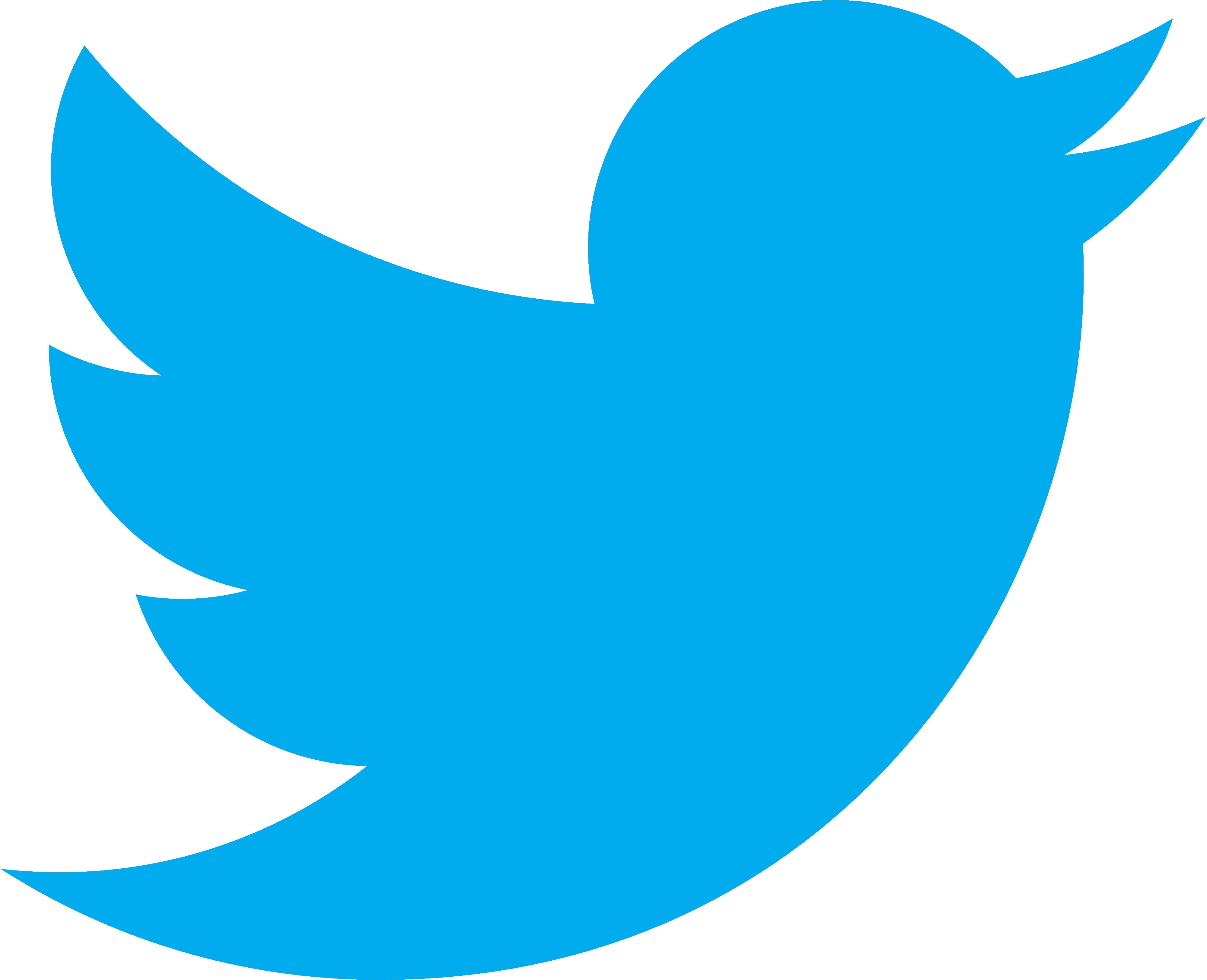 White Twitter Bird Logo - White twitter bird png 9 » PNG Image
