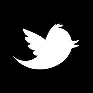 White Twitter Bird Logo - Twitter logo is named after basketball star Larry Bird