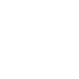 White Twitter Bird Logo - Twitter Bird Logo Brand Flat Icon. Free Flat Icon. All shapes