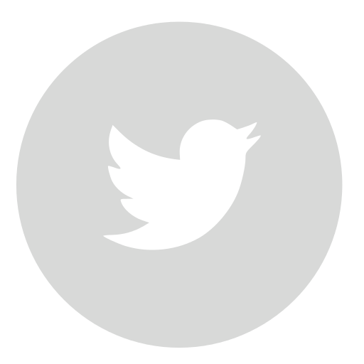 White Twitter Bird Logo - Twitter icon
