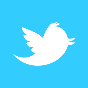 White Twitter Bird Logo - Gigaom | Anonymous Critic Wins 'Twitter-Squatting' Dispute