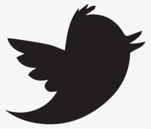 White Twitter Bird Logo - Twitter Logo Old Twitter Bird Icon PNG Image. Transparent