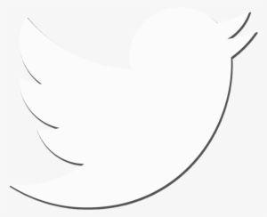 White Twitter Bird Logo - Twitter Logo Old Twitter Bird Icon PNG Image. Transparent