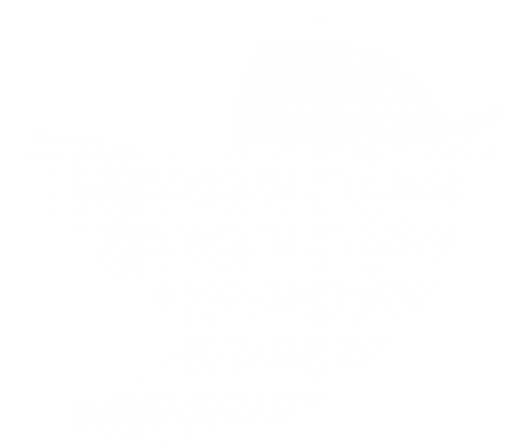 White Twitter Bird Logo - Ashesi University — Millennium Fellowship