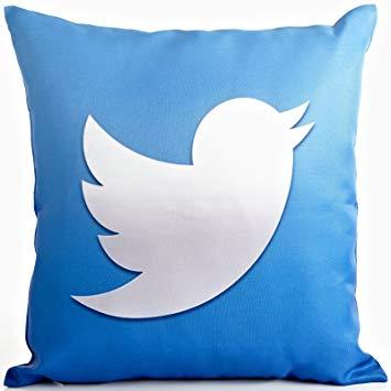 White Twitter Bird Logo - Twitter Bird Logo Filled 17 x 17 Scatter Cushion Computer Tech