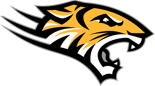 Cool Tiger Logo - Tiger Logo 544x304