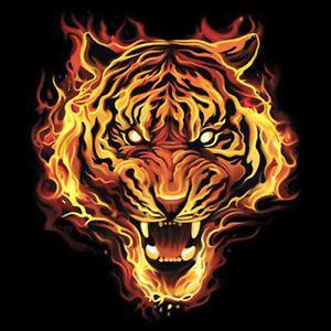 Cool Tiger Logo - Tiger Made Of Fire Flames Burning Big In Your Face Design Cool T