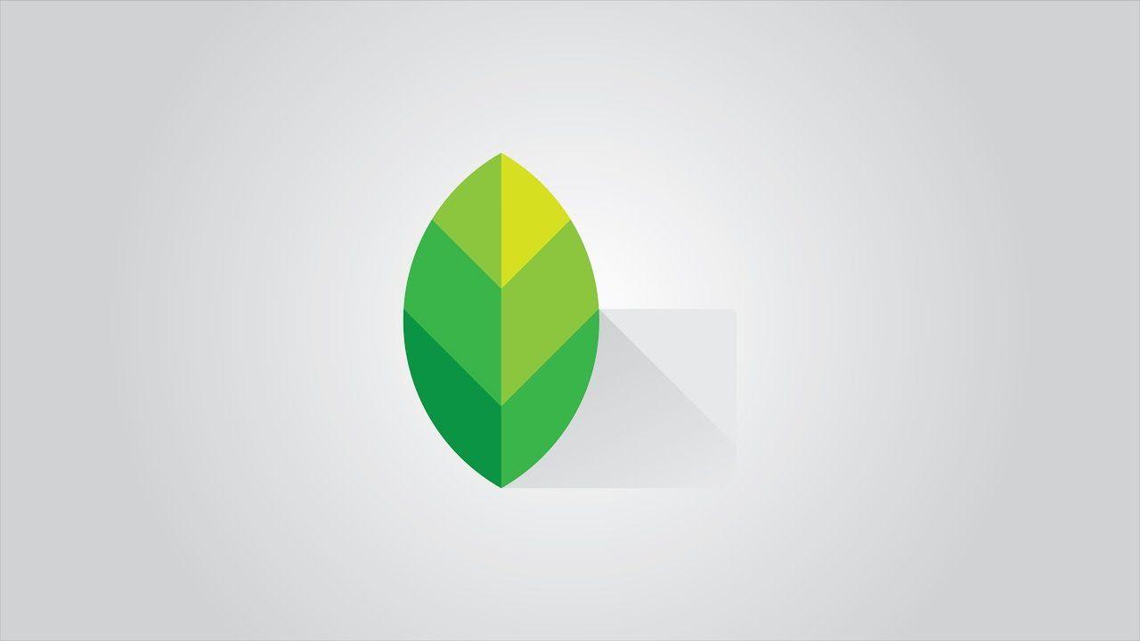 Simple Logo - Illustrator Tutorial: Simple Logo (Snapseed)