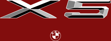 BMW X Logo - BMW X5™ logo vector - Download in AI vector format