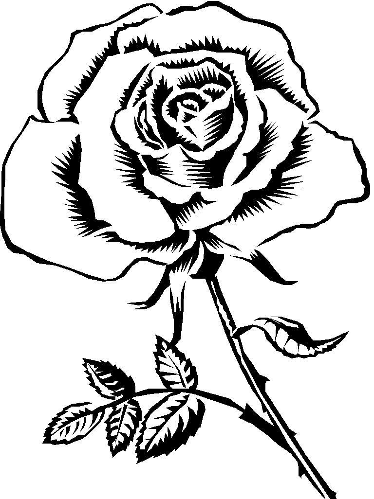 Black and White Rose Logo - Rose With Thorns Plant Clipart Black And White