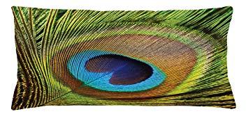 Eye Shape and a Green Square Logo - Amazon.com: Ambesonne Peacock Throw Pillow Cushion Cover, Peacock ...