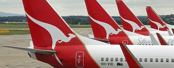 Airline with Kangaroo Logo - Airline With Kangaroo DIAGRAMS
