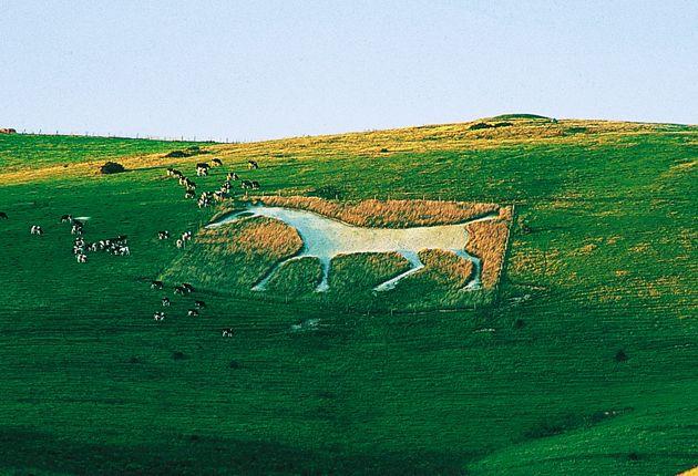 Prancing White Horse Circle Logo - Under starter's orders on the white horse trail | The Independent