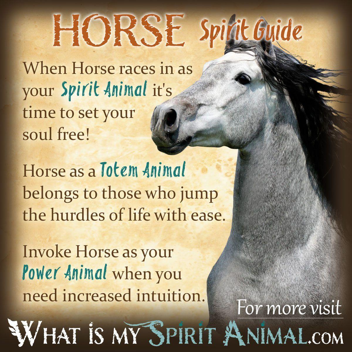 Prancing White Horse Circle Logo - Horse Symbolism & Meaning. Spirit, Totem, & Power Animal