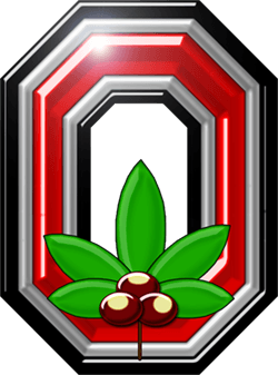 Ohio State O Logo - Item E5-6: Ohio State Buckeyes Athletic O Logo Car Flag | Conrads ...