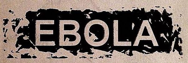90s N Logo - Ebola logo. Vort'n Vis in