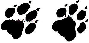 Black Paw Print Logo - History of the Jack Wolfskin Logo