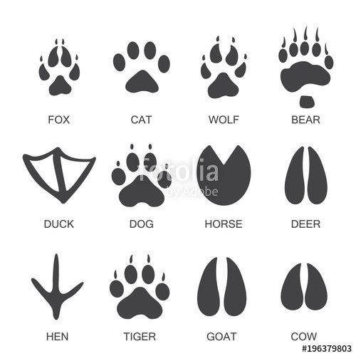 Black Paw Print Logo - Vector illustration. Set of animal and bird Paw Foot Prints Logo