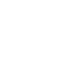 White Basketball Logo - Michigan Basketball Academy | Grand Rapids, MI