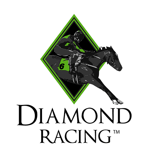 Horse Racing Logo - Amliba - Diamond Racing