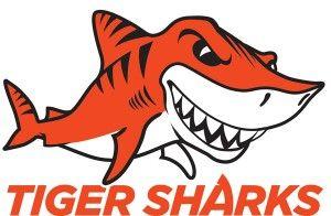 Orange Shark Logo - Tiger Shark Swim Team | YWCA Bergen County New Jersey