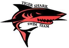 Tiger Shark Logo - Swim Center / Tigershark Swim Team