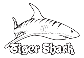 Tiger Shark Logo - Vectorise Logo | Tiger Shark