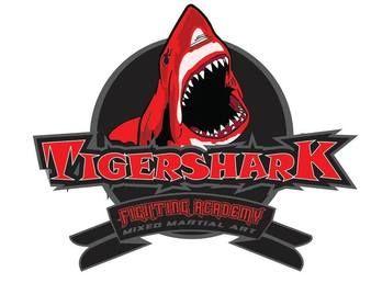 Tiger Shark Logo - Tigershark Fighting Academy