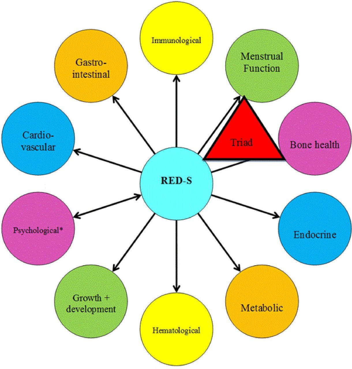 Large Red S Logo - IOC consensus statement on relative energy deficiency in sport RED