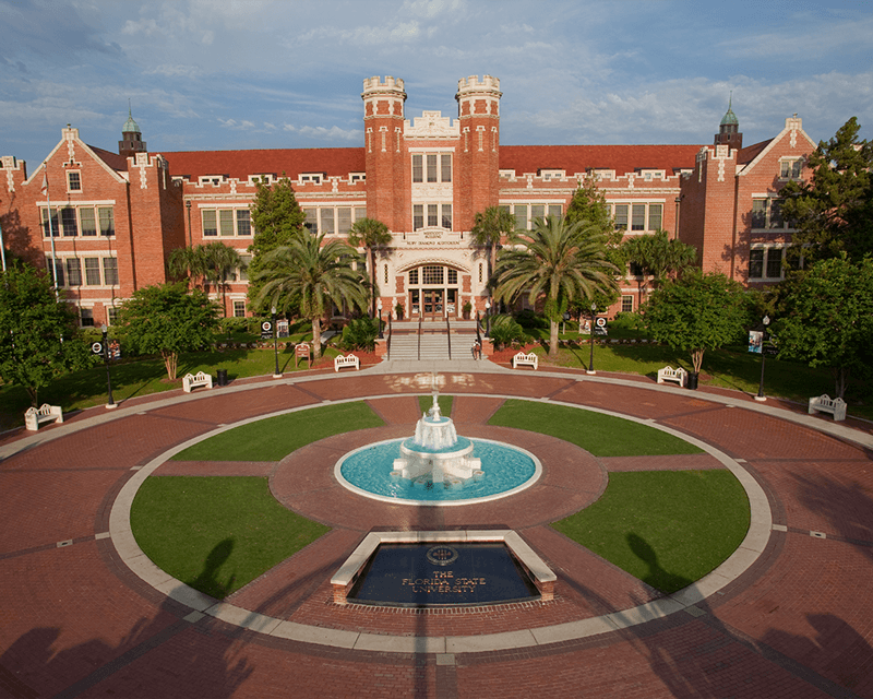 Florida State University School Logo - Rankings | Florida State University