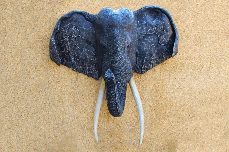 Grey Elephant Head Logo - grey elephant head bust free image | Peakpx