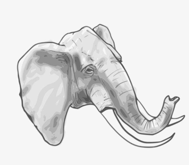 Grey Elephant Head Logo - Gray Elephant Head, Elephant Clipart, Head Clipart, Elephant PNG