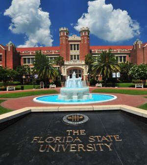 Florida State University School Logo - FSU Sees Vote To Ban Hard Alcohol For Fraternities As 'A Step