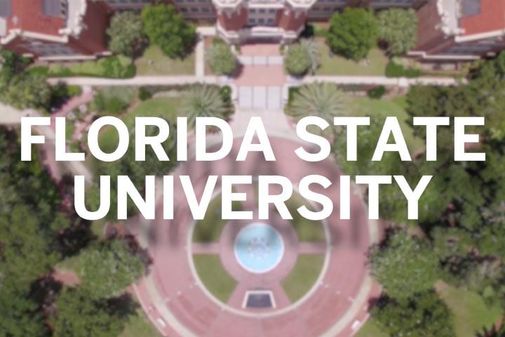 Florida State University School Logo - Florida State University