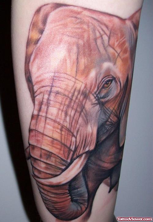 Grey Elephant Head Logo - Grey Elephant Head Tattoo. Tattoo Viewer.com