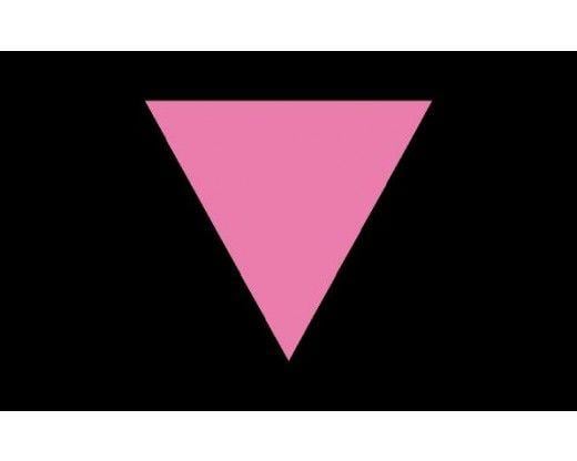 Pink Triangle Logo - Pink Triangle Flag - Gay Pride Flags - Awareness Flags - Flags & Banners