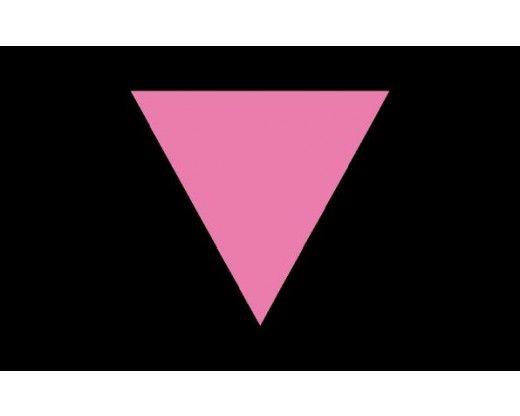 Pink Triangle Logo - Pink Triangle Flag Pride Flags Flags & Banners