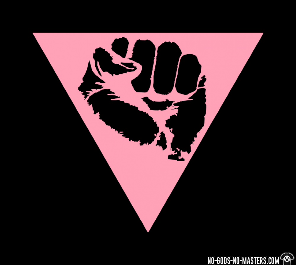 Pink Triangle Logo - Queer Pink Triangle ☆ Feminist Shirt ☆ No Gods No Masters