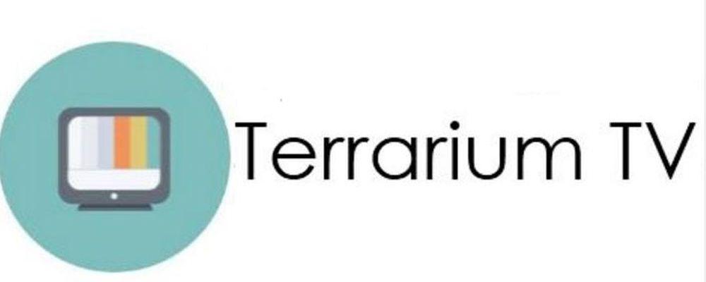 Google TV Logo - The end of Terrarium TV | FULLSYNC