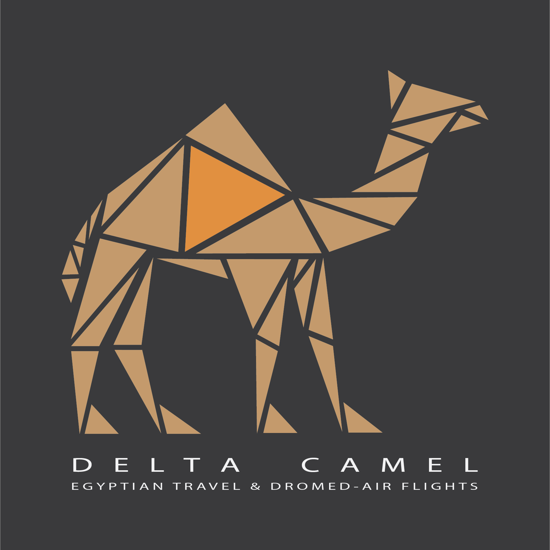 Camel Triangle Logo - Matthew J. Gahr - Designs