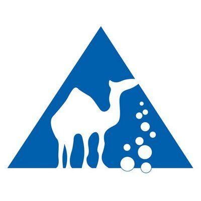 Camel Triangle Logo - Camel Dive Club