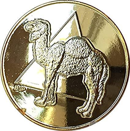 Camel Triangle Logo - Camel Triangle 22k Gold Plated AA Medallion Sobriety