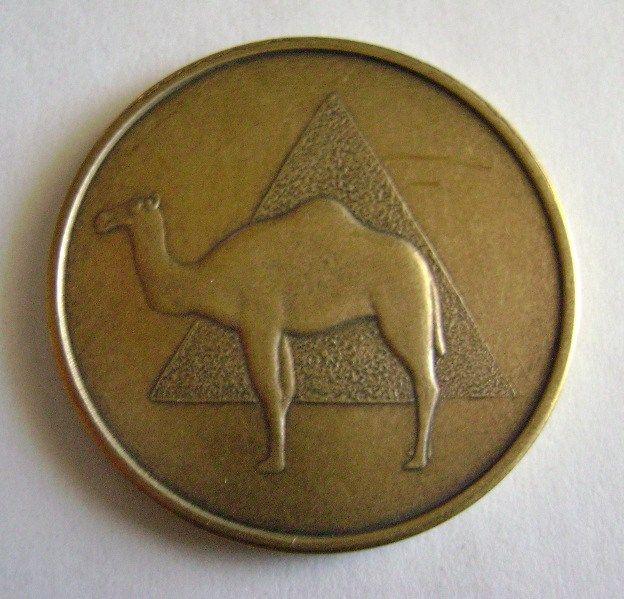 Camel Triangle Logo - Camel With Triangle Bronze AA Medallion | The Recovery Gift Source