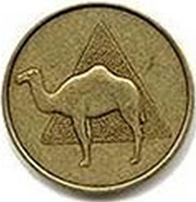 Camel Triangle Logo - Antique Style Bronze Triangle Camel Medallion