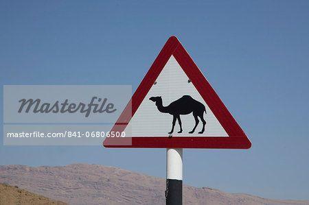 Camel Triangle Logo - Camel road sign, Wahiba, Oman, Middle East