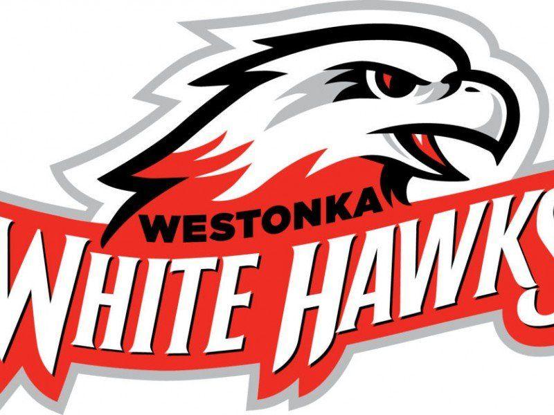 White Hawks Logo - White Hawks Logo Gets Extreme Makeover. Lake Minnetonka, MN Patch
