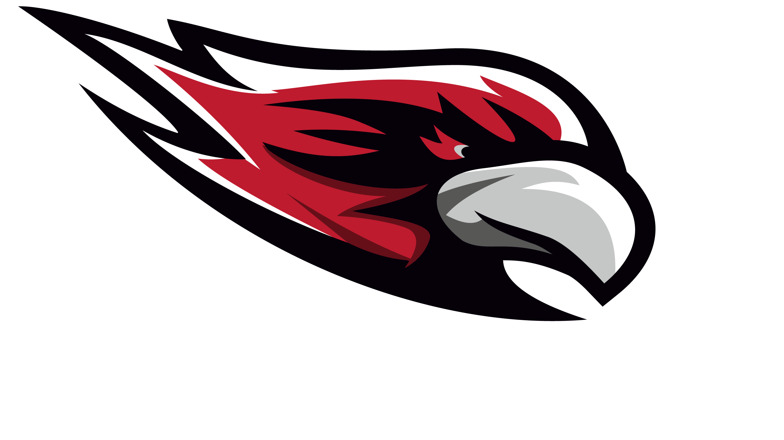 White Hawks Logo - The White Hawks