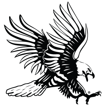 White Hawk Logo - Logos | Dickinson State University